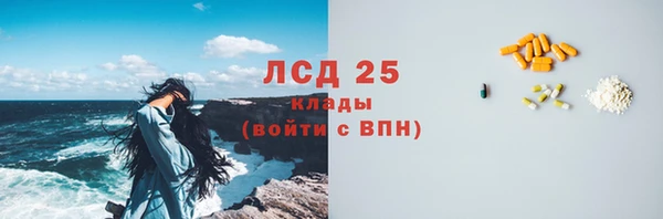 хмурый Алексин