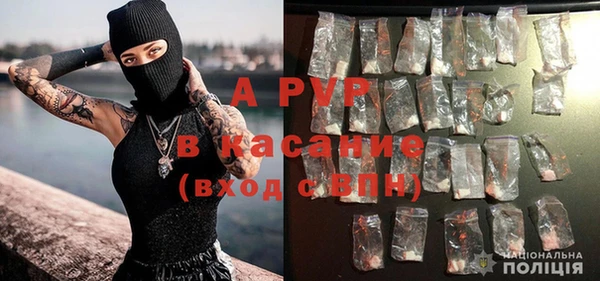 стафф Алзамай