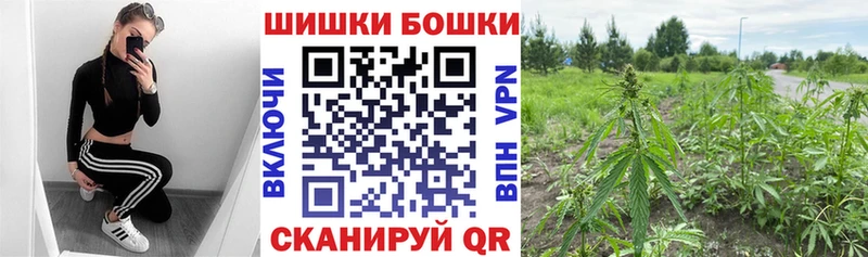 Марихуана THC 21%  MEGA tor  Алексеевка  купить  цена 
